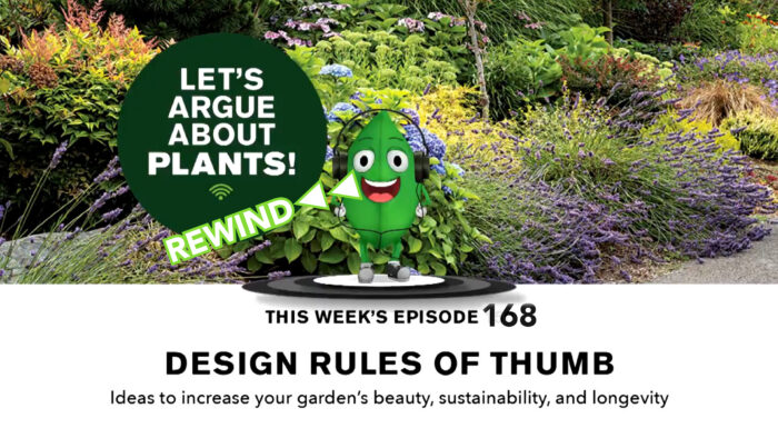 Episode 168: Rewind – Design Rules of Thumb with Stacie Crooks