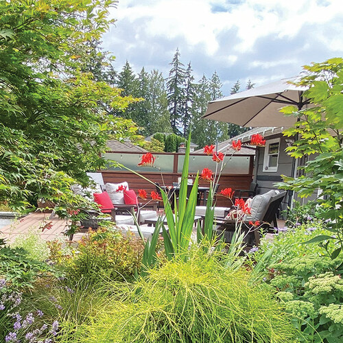 view of deck through plants