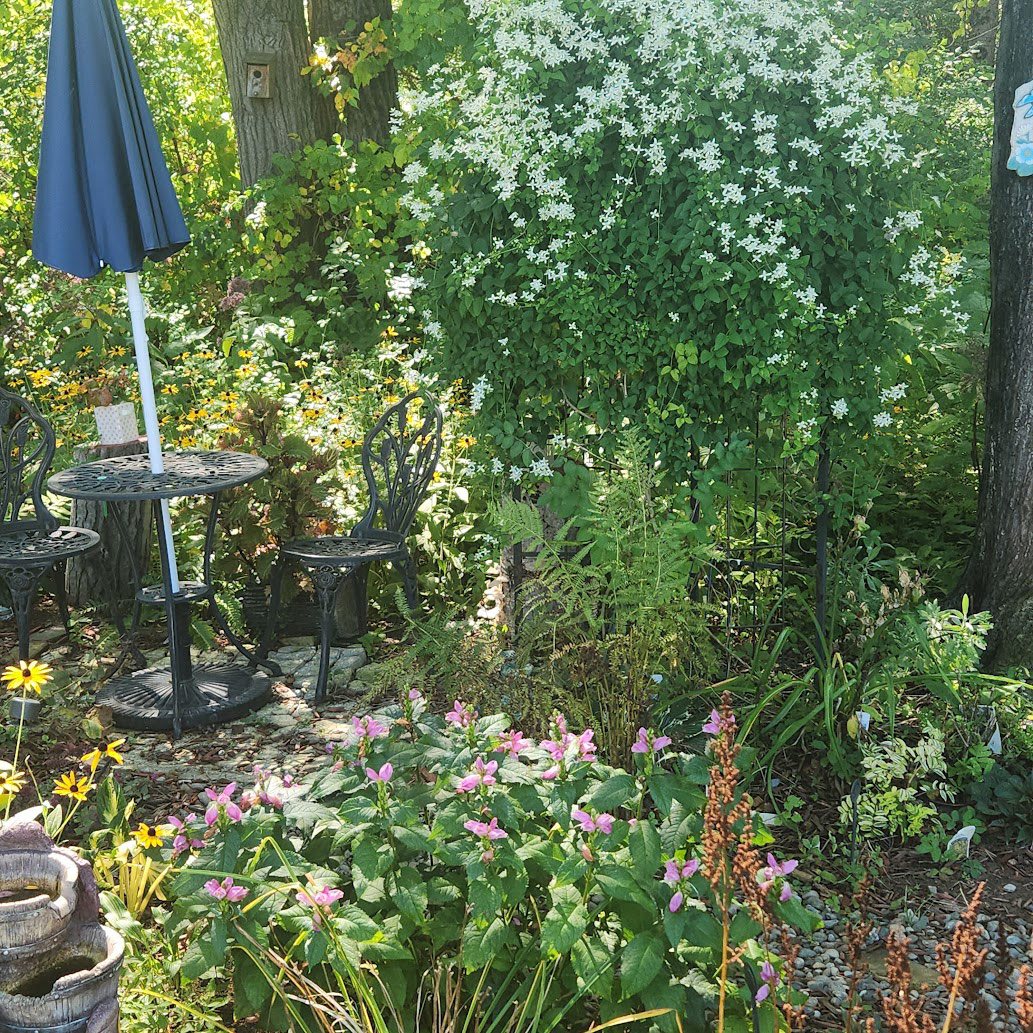 garden patio in fall