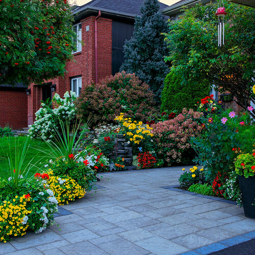 front garden container plantings