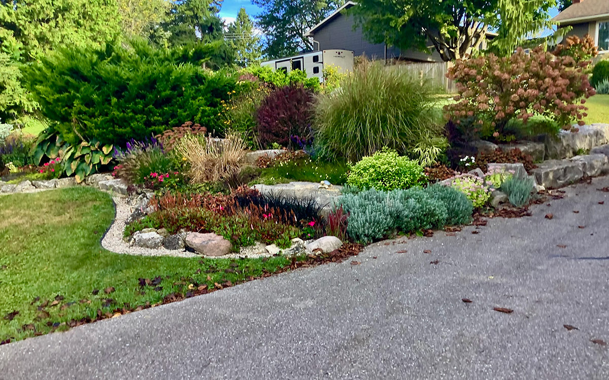 garden bed next to drive way