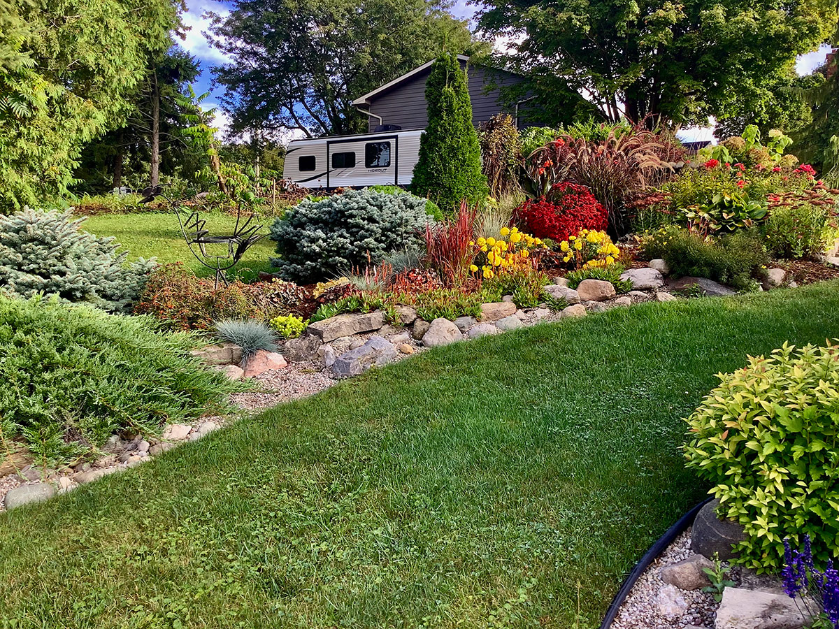 yellow marigolds in garden beds