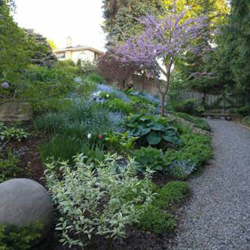 gravel path going through garden