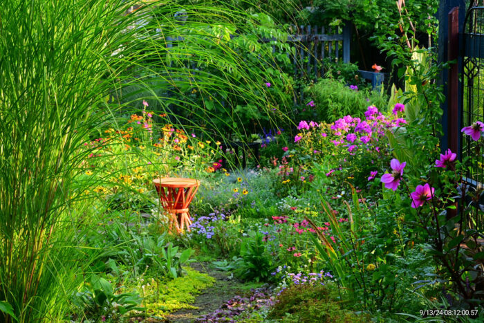 view of garden through maiden grass