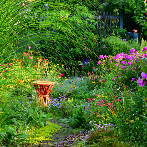 view of garden through maiden grass