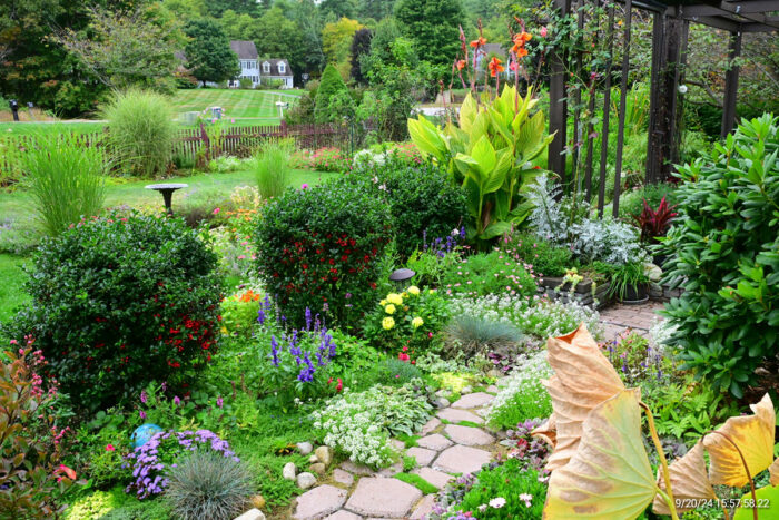 path in front garden