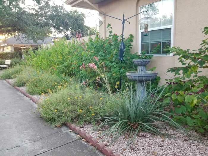 gravel garden in Texas