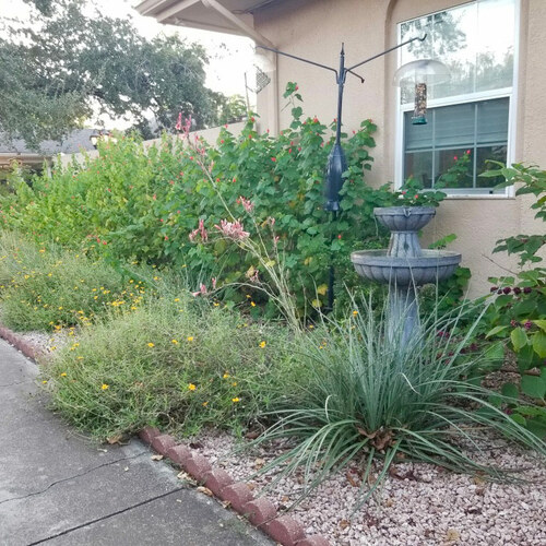 gravel garden in Texas