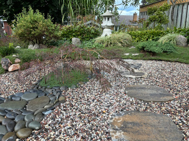 niwaki pruned Japanese maple