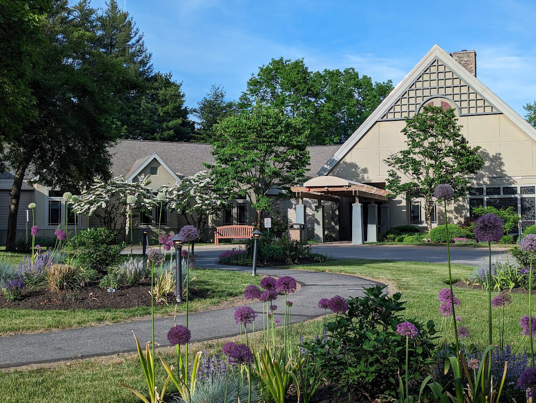 alliums in front entrance