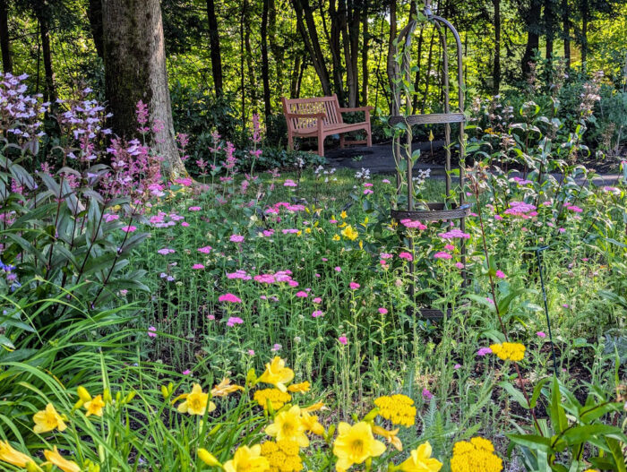 pollinator garden