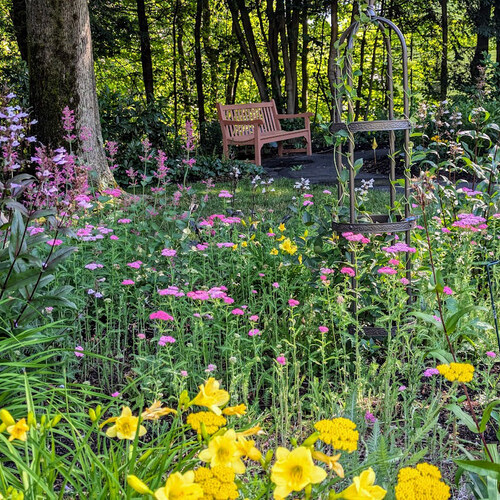 pollinator garden