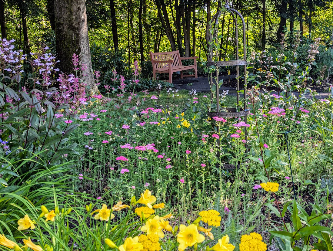 pollinator garden