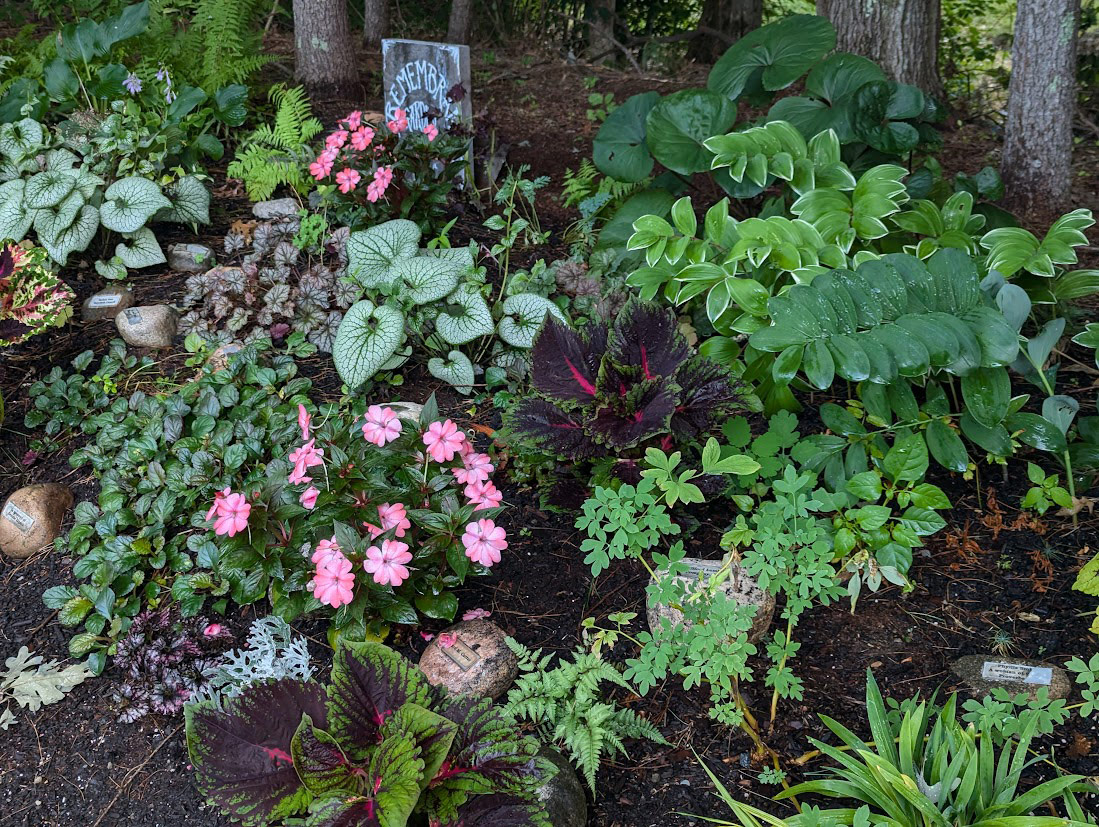 shade remembrance garden