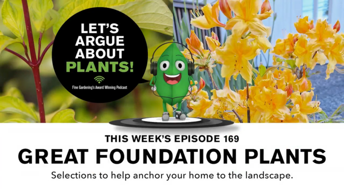 Episode 169: Great Foundation Plants  