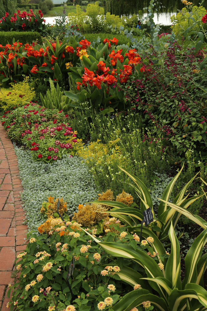 a warm colored garden with flowers in the red, orange, and yellow spectrum