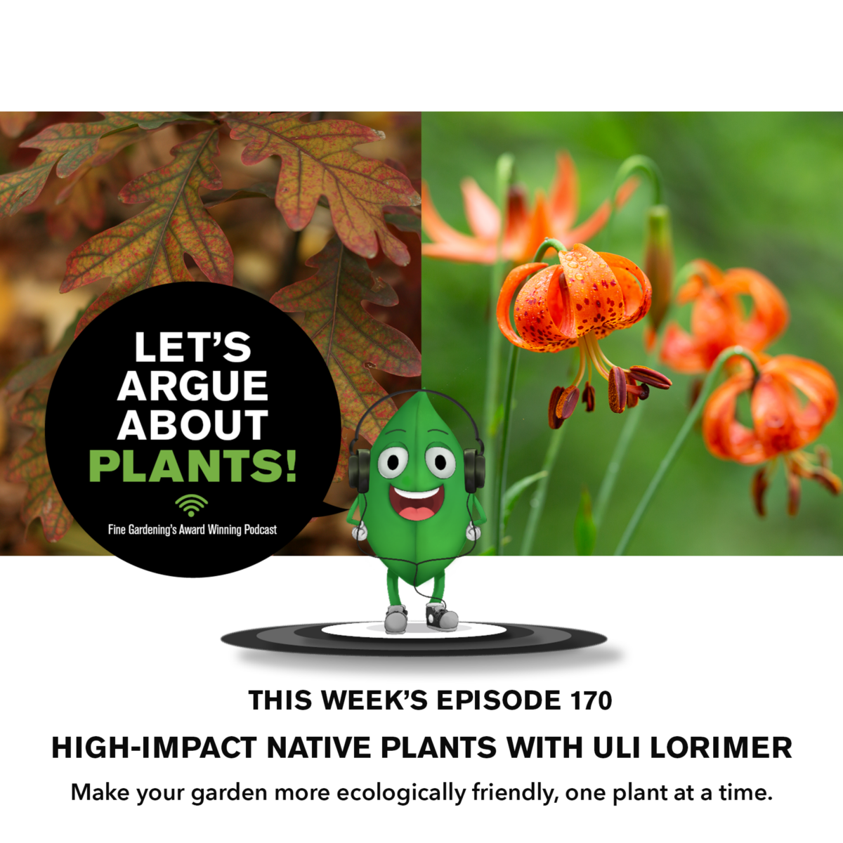 Episode 170: High-Impact Native Plants with Uli Lorimer  