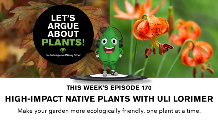 Episode 170: High-Impact Native Plants with Uli Lorimer  