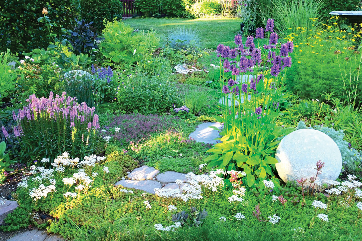 densely planted garden bed with lots of ground cover