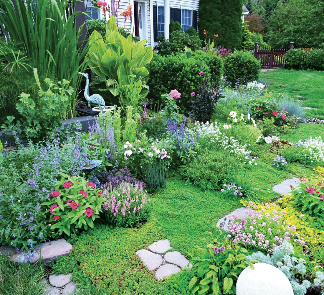 front garden with many plants