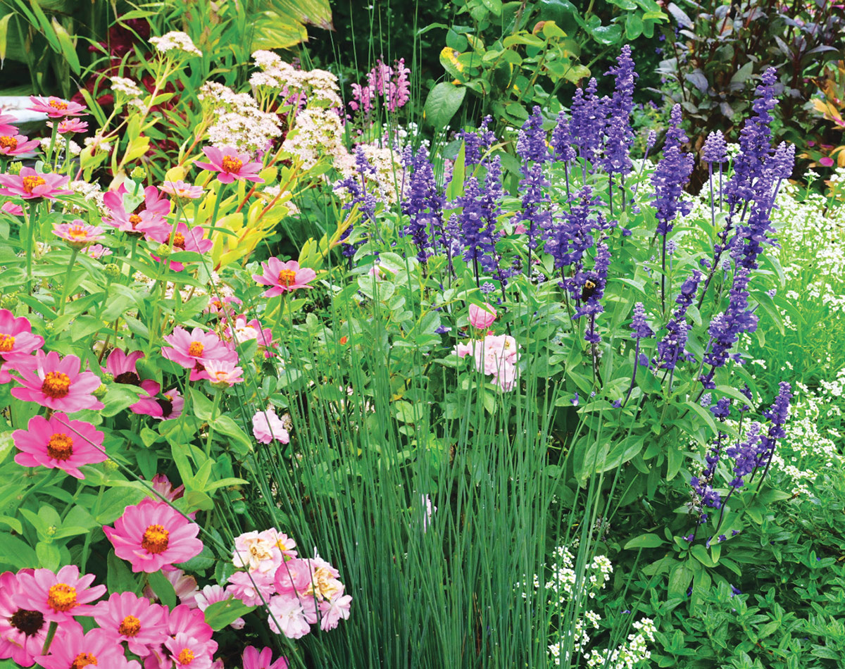 colorful annuals mixed with tough perennials