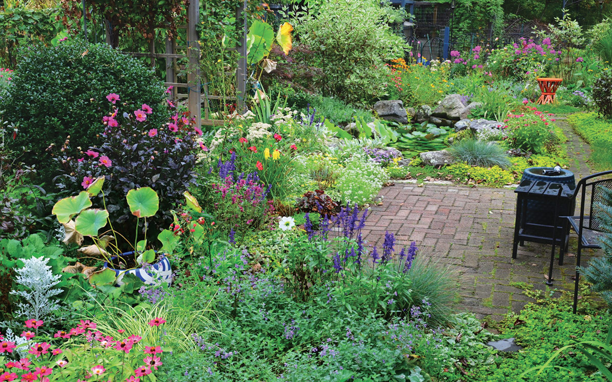 patio garden surrounded by plants in midsummer