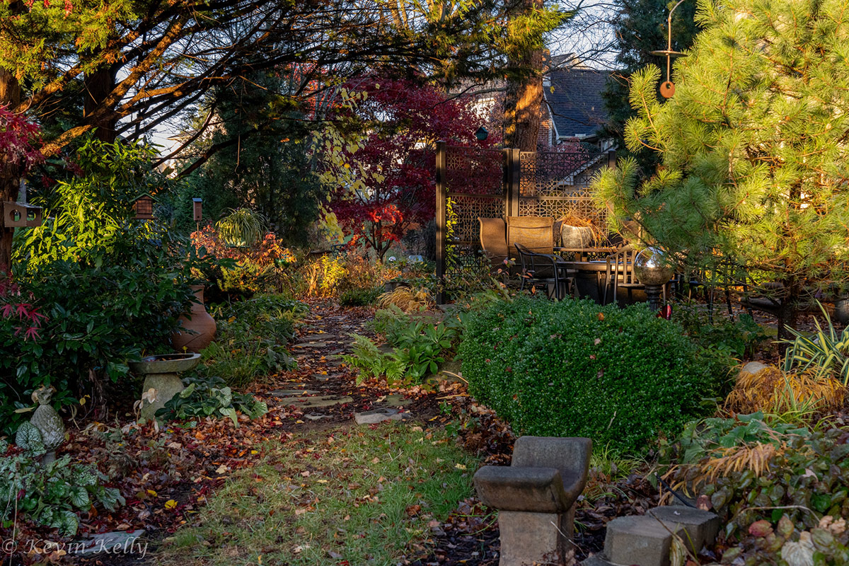 garden path leading to patio seating area