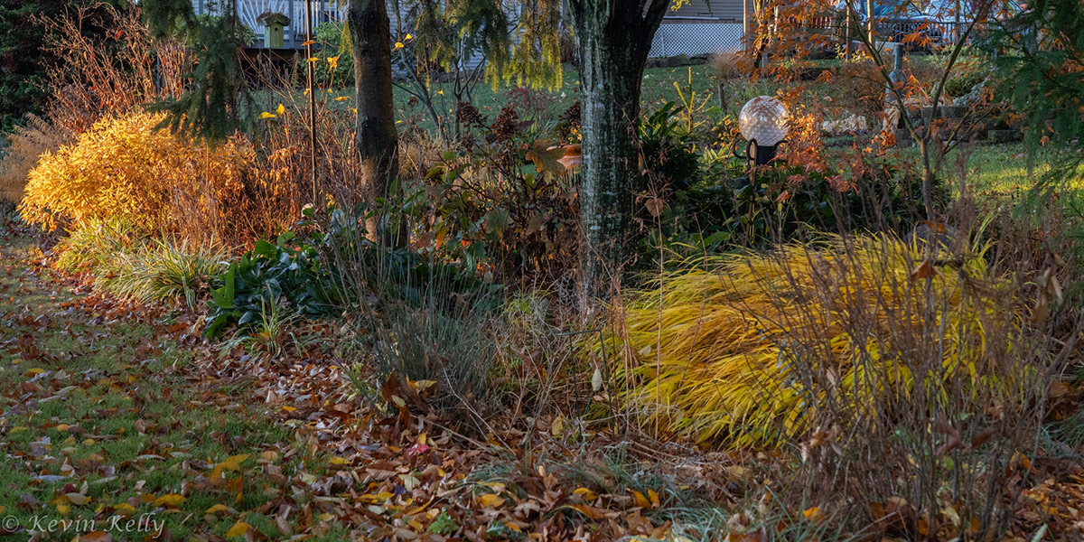 Autumn garden border with many foliage plants