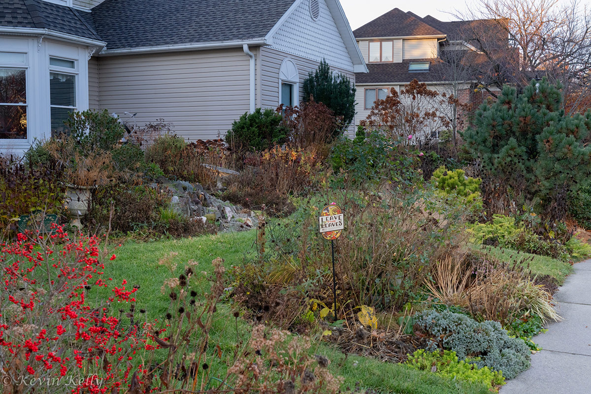 front yard garden in fall