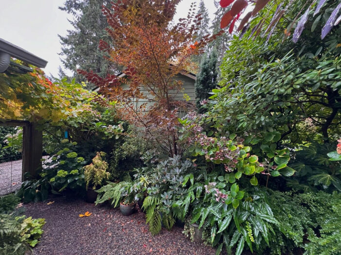 garden bed with lots of diverse foliage