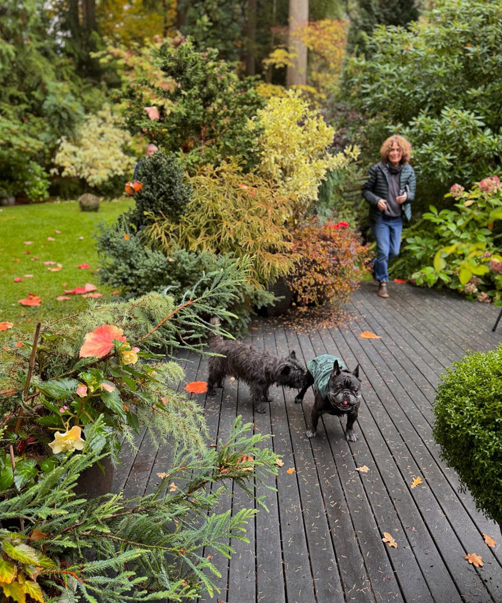 gardener with two dogs on patio