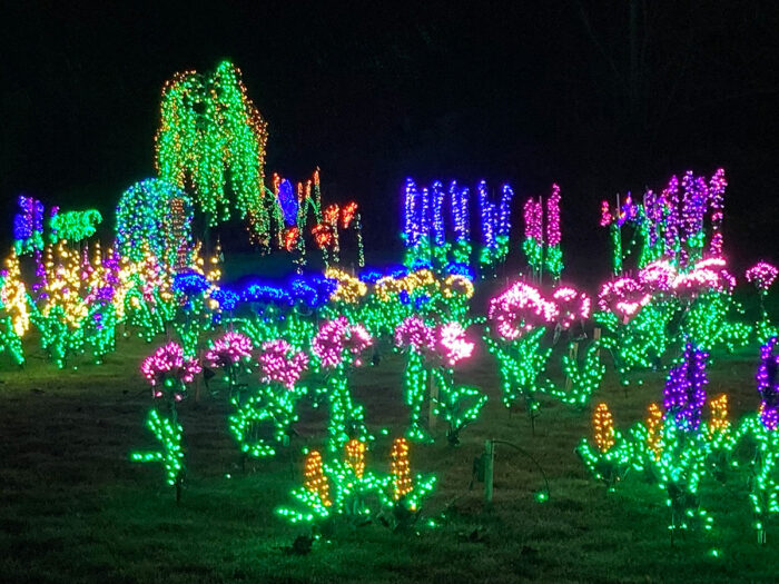 garden scene made out of various decorative lights