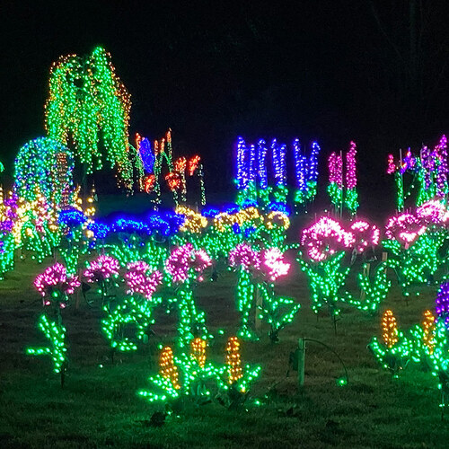 garden scene made out of various decorative lights