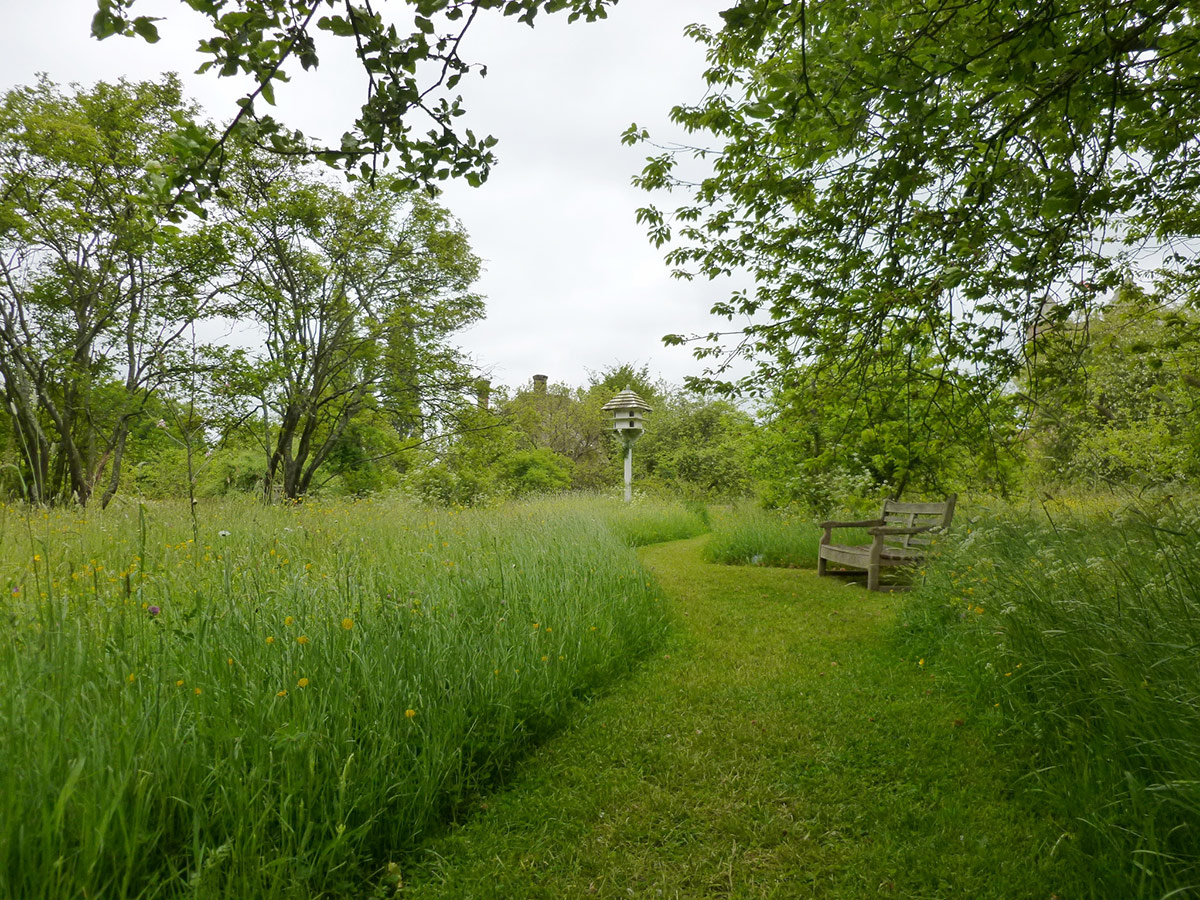 meadow garden with grass path