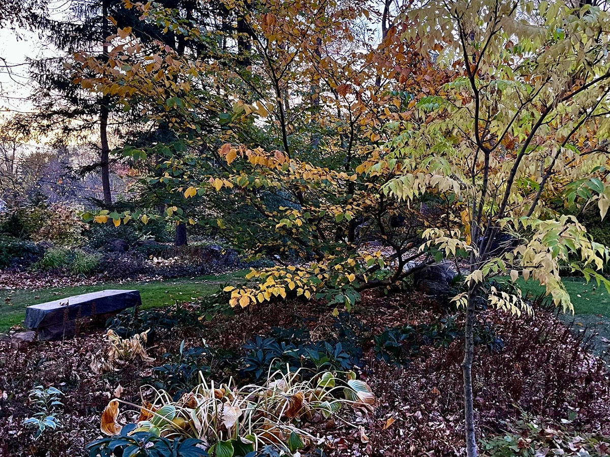 stone bench in fall garden