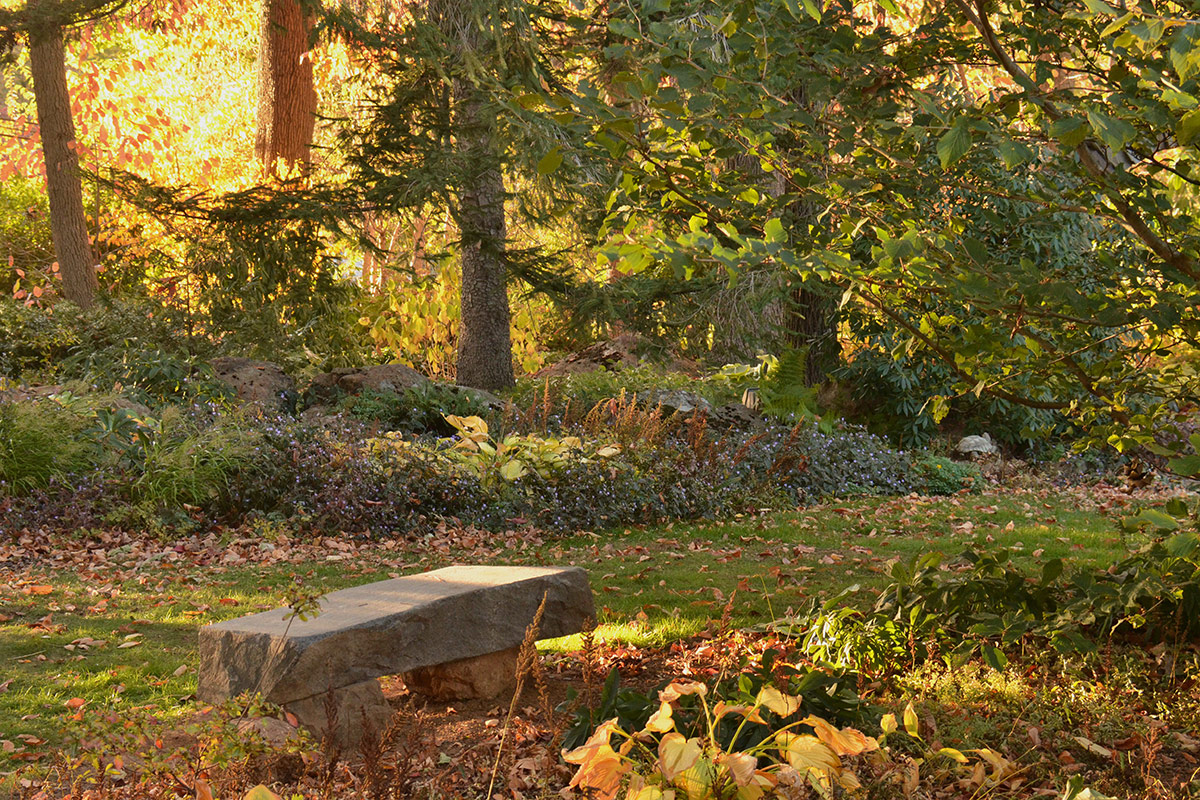 fall garden in afternoon