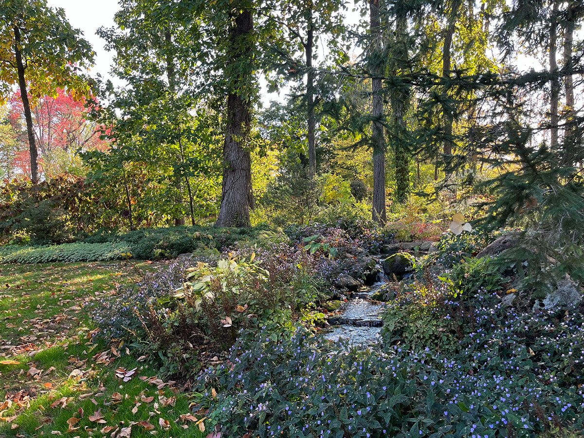 water feature in fall garden