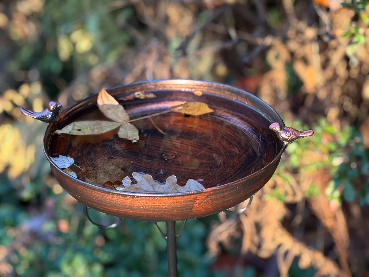 copper bird bath in fall