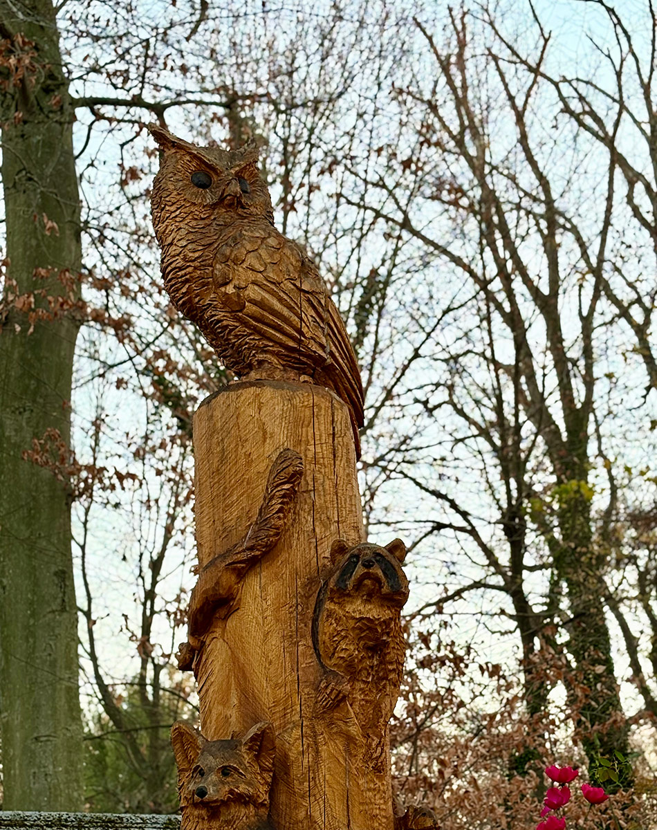 owls carved into tree trunk