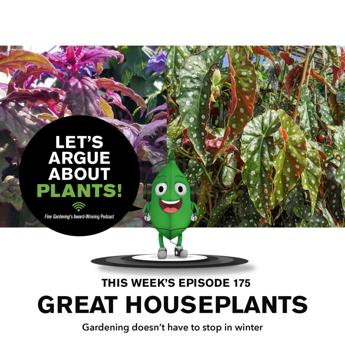 Episode 175: Great Houseplants  – Fine Gardening