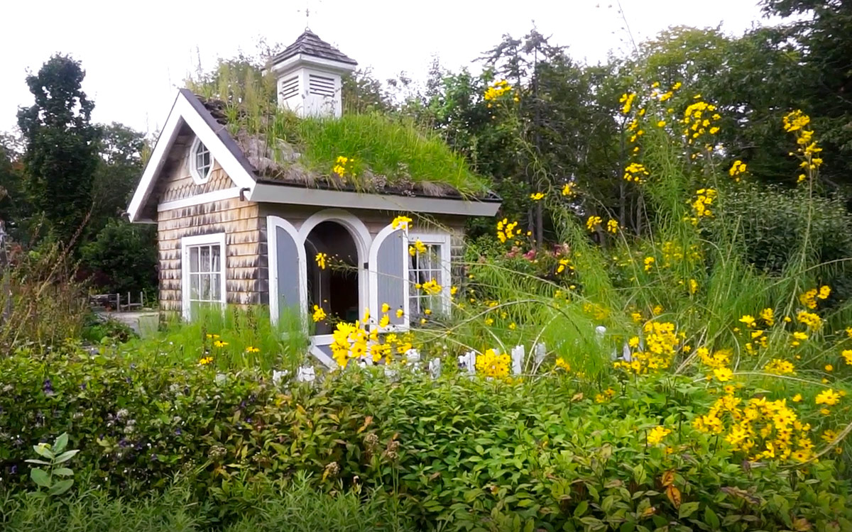 garden shed with a green roof