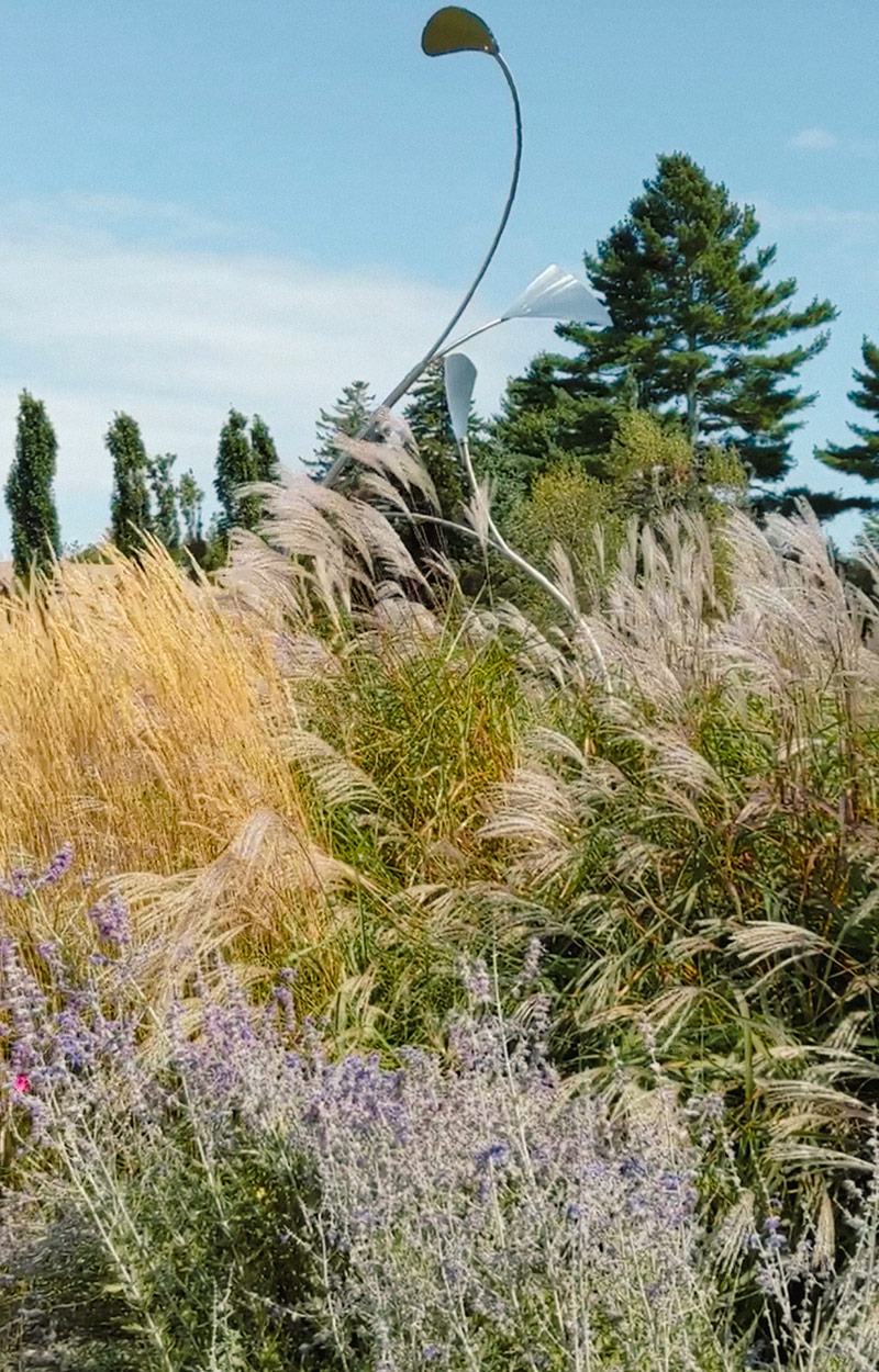 metal sculpture above golden ornamental grasses