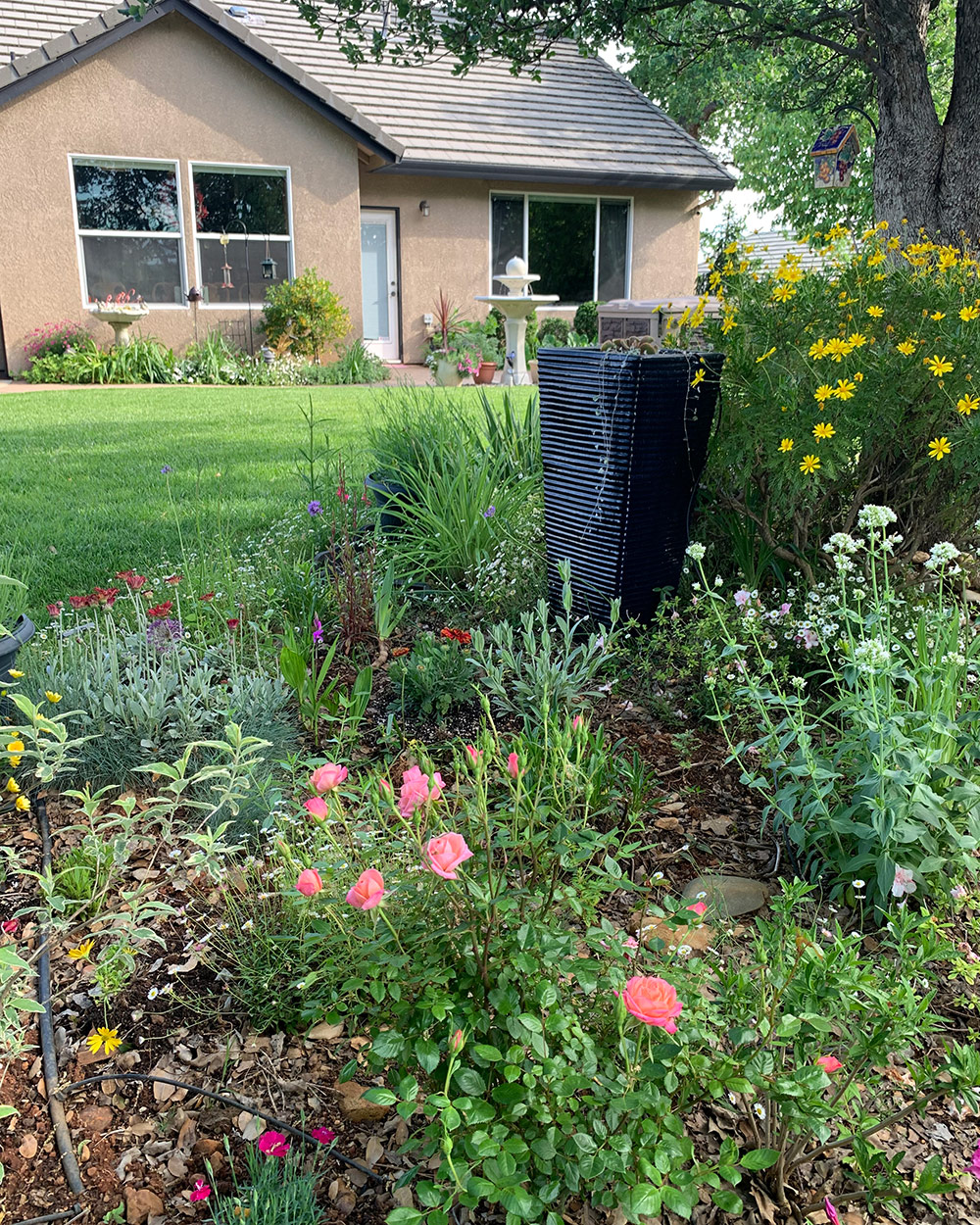 garden bed at edge of garden with large black pot