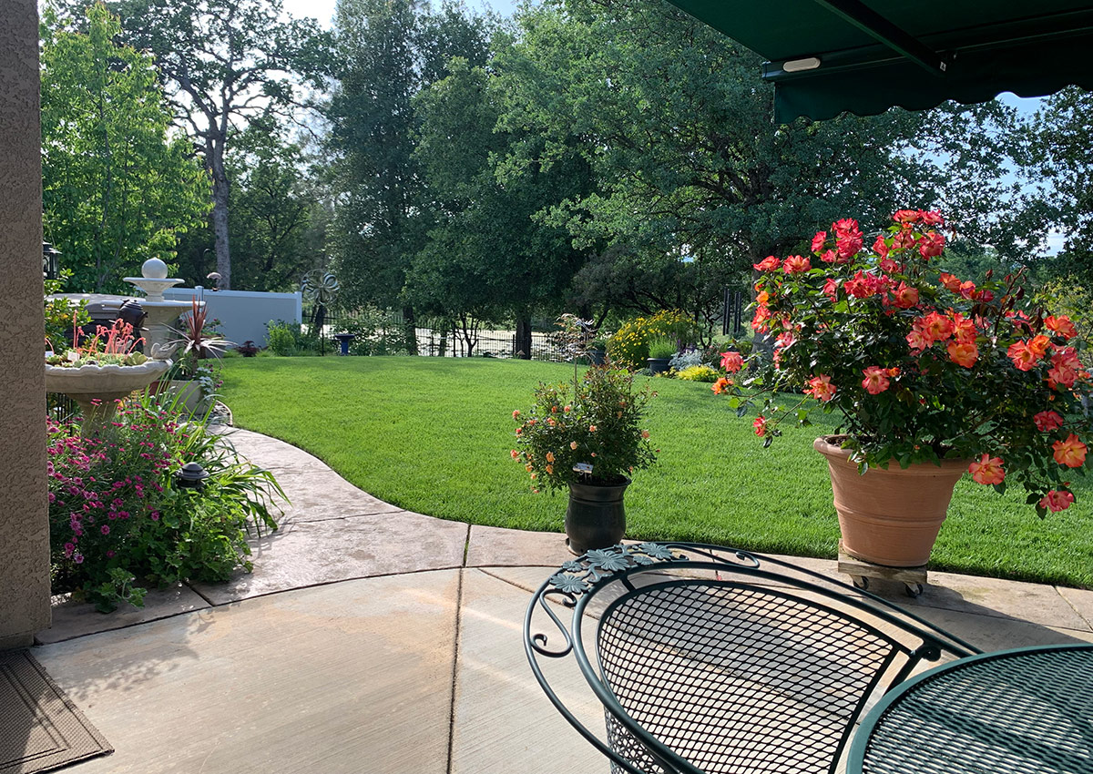 view of back garden from patio seating area