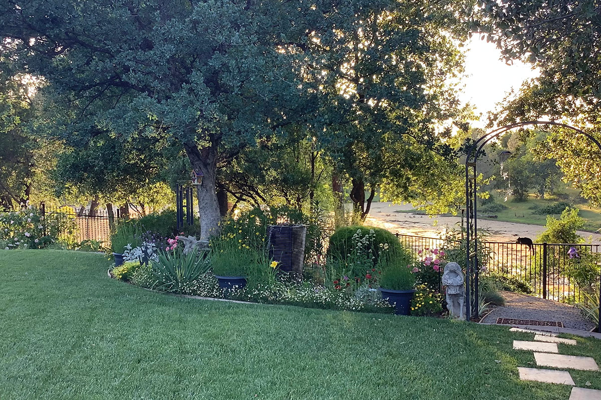 back garden bed with natural pond behind