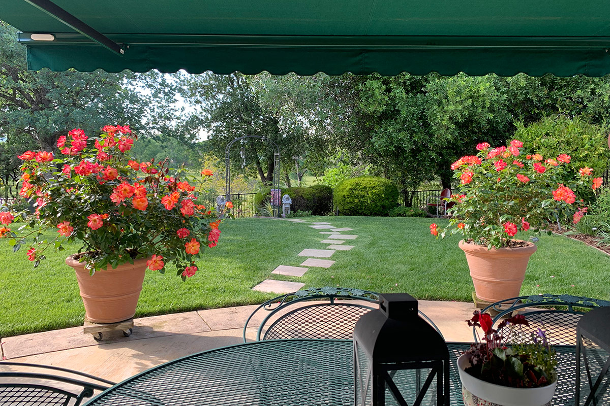 covered patio looking out to back garden