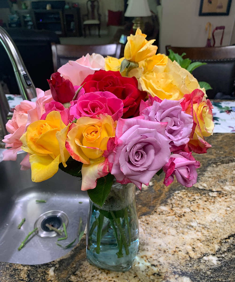 different colored cut roses in a vase 