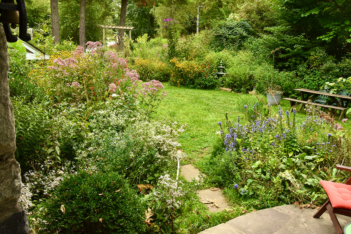 garden view from patio