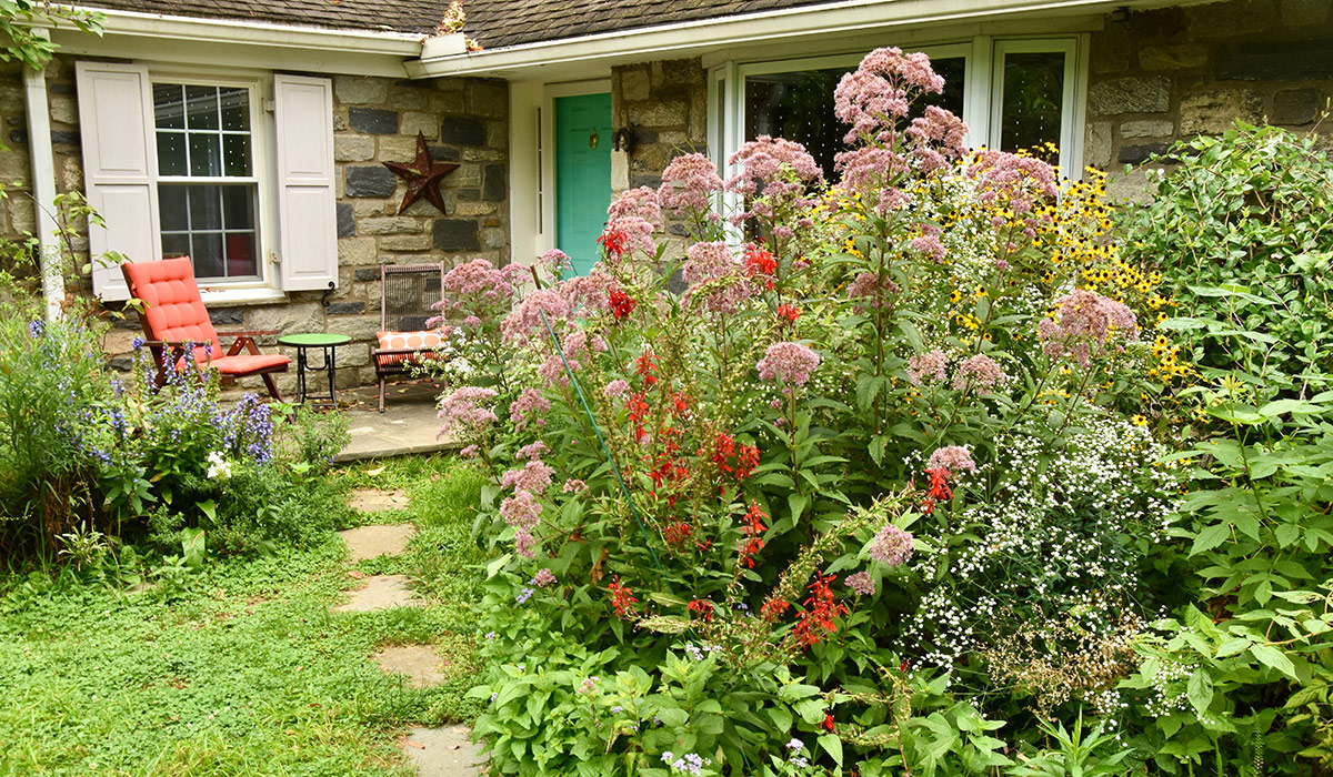 patio in native plant garden