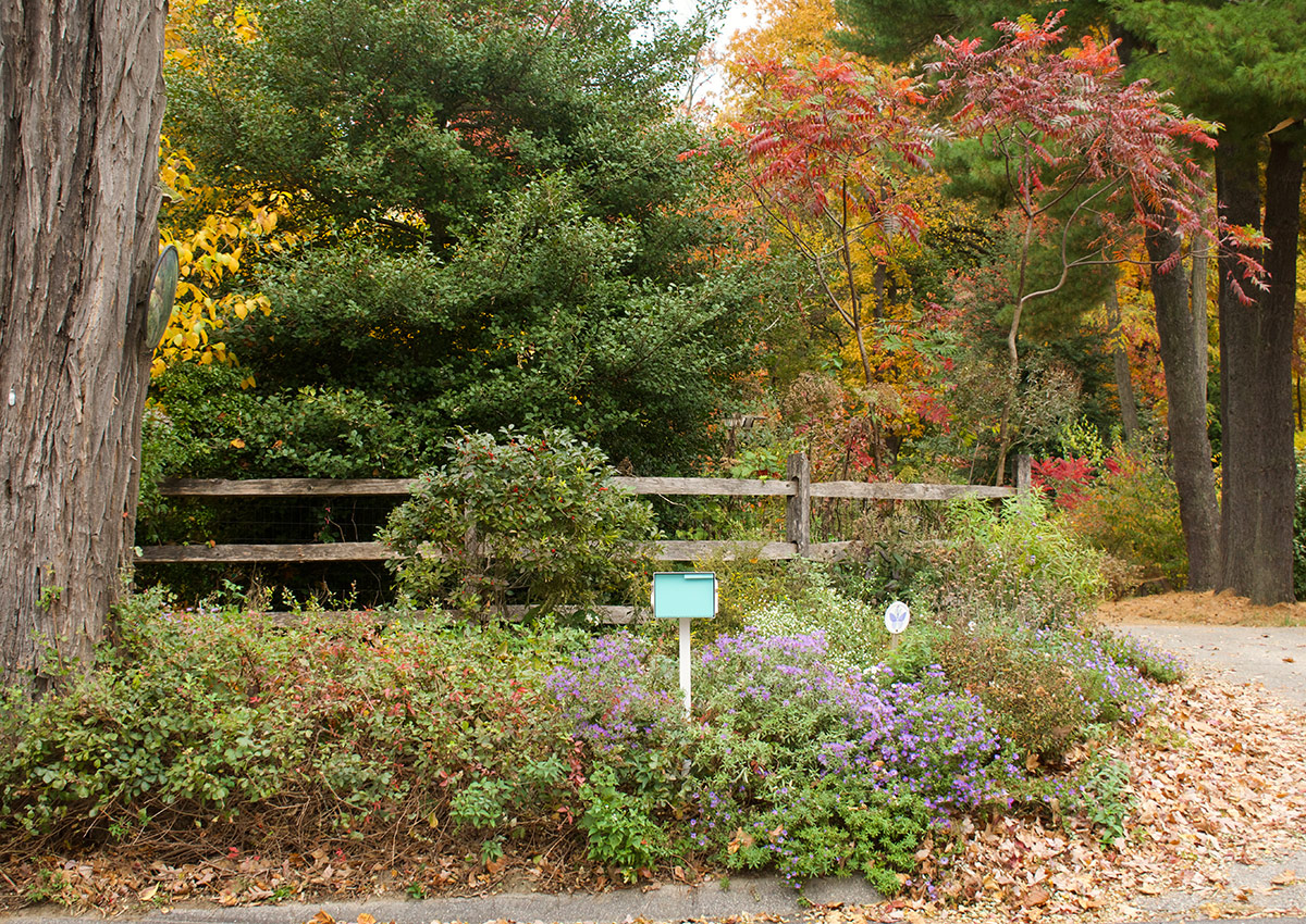 front garden in fall